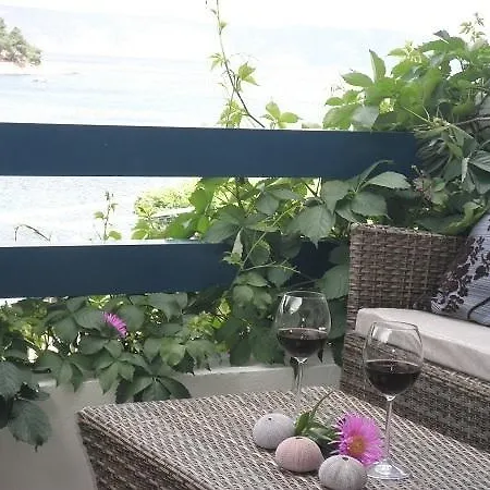 Drinkovic Apartament